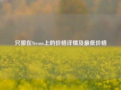 只狼在Steam上的价格详情及最低价格