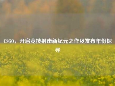 CSGO，开启竞技射击新纪元之作及发布年份探寻