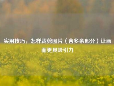 实用技巧，怎样裁剪图片（含多余部分）让画面更具吸引力