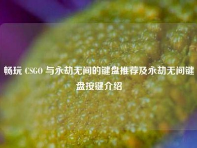 畅玩 CSGO 与永劫无间的键盘推荐及永劫无间键盘按键介绍