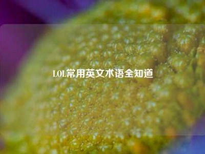 LOL常用英文术语全知道
