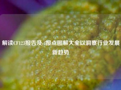 解读CF123报告及cf报点图解大全以洞察行业发展新趋势
