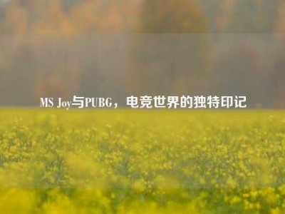 MS Joy与PUBG，电竞世界的独特印记