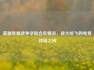 英雄联盟战争学院合区情况，战火纷飞的电竞战场之问