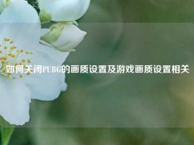 如何关闭PUBG的画质设置及游戏画质设置相关