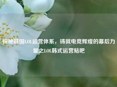 探秘韩国LOL运营体系，铸就电竞辉煌的幕后力量之LOL韩式运营贴吧