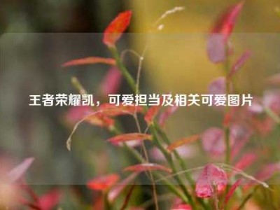 王者荣耀凯，可爱担当及相关可爱图片