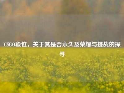 CSGO段位，关于其是否永久及荣耀与挑战的探寻
