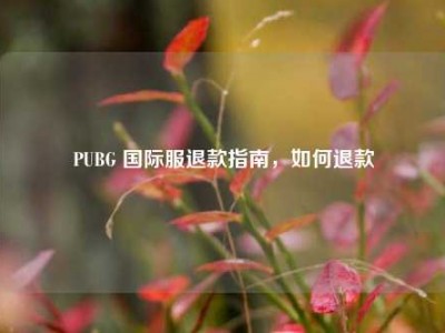 PUBG 国际服退款指南，如何退款