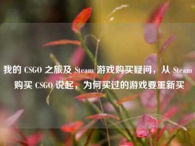 我的 CSGO 之旅及 Steam 游戏购买疑问，从 Steam 购买 CSGO 说起，为何买过的游戏要重新买