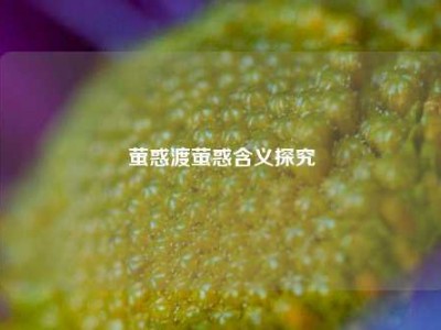 萤惑渡萤惑含义探究