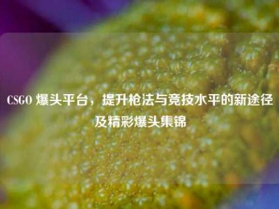 CSGO 爆头平台，提升枪法与竞技水平的新途径及精彩爆头集锦