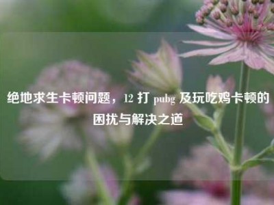 绝地求生卡顿问题，12 打 pubg 及玩吃鸡卡顿的困扰与解决之道