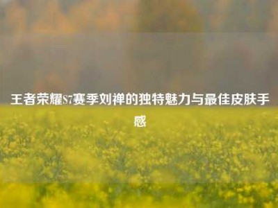 王者荣耀S7赛季刘禅的独特魅力与最佳皮肤手感