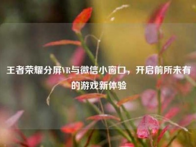 王者荣耀分屏VR与微信小窗口，开启前所未有的游戏新体验