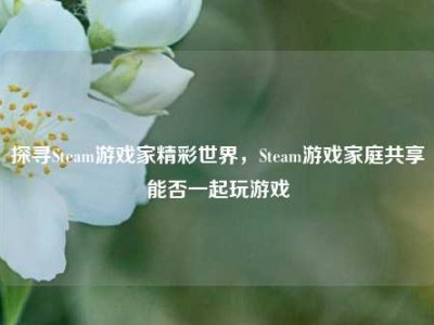 探寻Steam游戏家精彩世界，Steam游戏家庭共享能否一起玩游戏