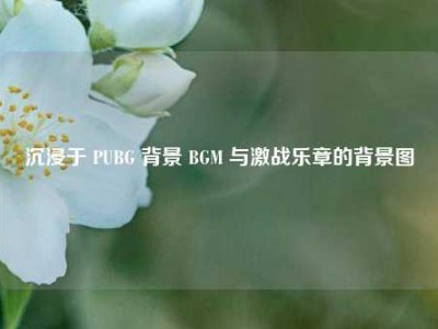 沉浸于 PUBG 背景 BGM 与激战乐章的背景图