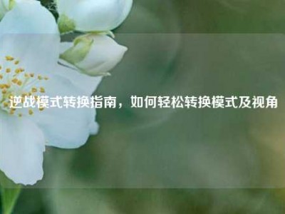逆战模式转换指南，如何轻松转换模式及视角