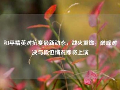和平精英对抗赛最新动态，战火重燃，巅峰对决与段位情况即将上演