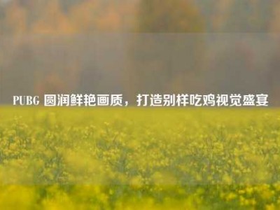 PUBG 圆润鲜艳画质，打造别样吃鸡视觉盛宴