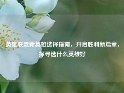 英雄联盟新英雄选择指南，开启胜利新篇章，探寻选什么英雄好