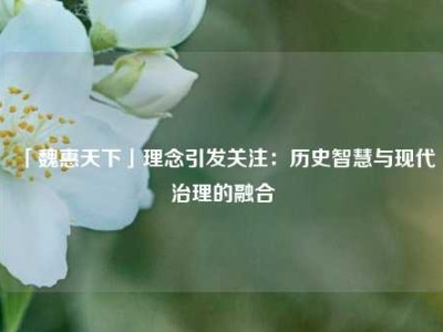 「魏惠天下」理念引发关注：历史智慧与现代治理的融合