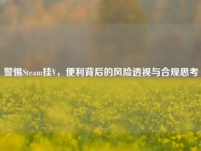 警惕Steam挂V，便利背后的风险透视与合规思考