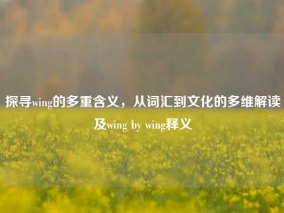 探寻wing的多重含义，从词汇到文化的多维解读及wing by wing释义