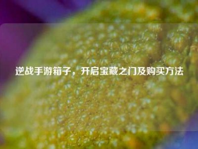 逆战手游箱子，开启宝藏之门及购买方法