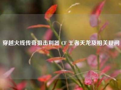 穿越火线传奇狙击利器 CF 王者天龙及相关疑问
