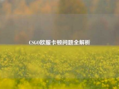 CSGO欧服卡顿问题全解析