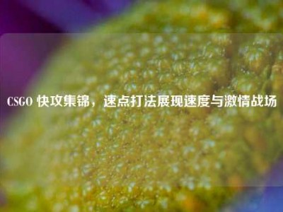 CSGO 快攻集锦，速点打法展现速度与激情战场