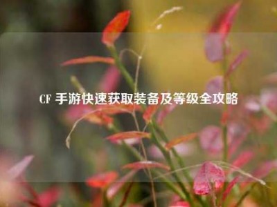 CF 手游快速获取装备及等级全攻略