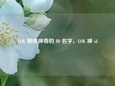 LOL 那些神奇的 ID 名字，LOL 神 id