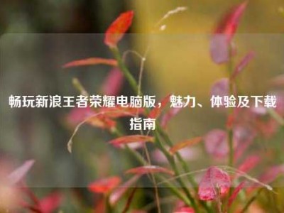 畅玩新浪王者荣耀电脑版，魅力、体验及下载指南