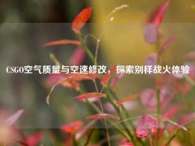 CSGO空气质量与空速修改，探索别样战火体验
