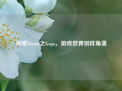 探索Steam之Gogo，游戏世界别样角落