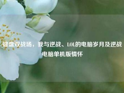 键盘双战场，我与逆战、LOL的电脑岁月及逆战电脑单机版情怀