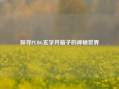 探寻PUBG玄学开箱子的神秘世界