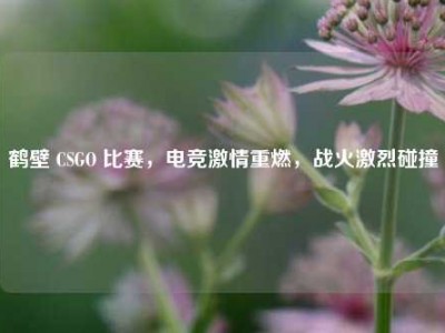 鹤壁 CSGO 比赛，电竞激情重燃，战火激烈碰撞