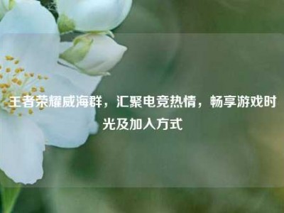王者荣耀威海群，汇聚电竞热情，畅享游戏时光及加入方式