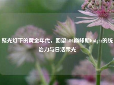 聚光灯下的黄金年代，回望LOL巅峰期Knight的统治力与日活荣光