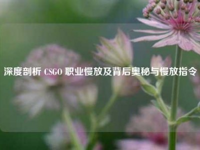 深度剖析 CSGO 职业慢放及背后奥秘与慢放指令