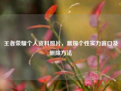 王者荣耀个人资料照片，展现个性实力窗口及删除方法
