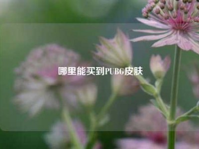 哪里能买到PUBG皮肤
