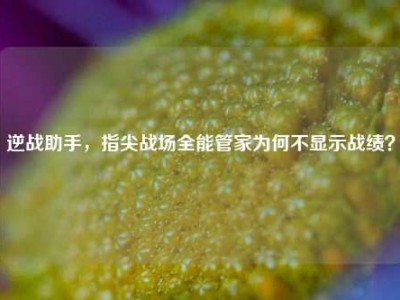 逆战助手，指尖战场全能管家为何不显示战绩？