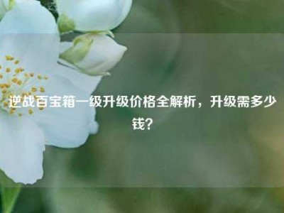 逆战百宝箱一级升级价格全解析，升级需多少钱？