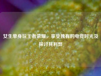 女生单身玩王者荣耀，享受独有的电竞时光及探讨其利弊