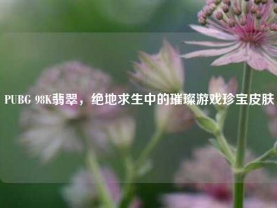 PUBG 98K翡翠，绝地求生中的璀璨游戏珍宝皮肤