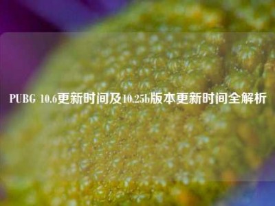 PUBG 10.6更新时间及10.25b版本更新时间全解析